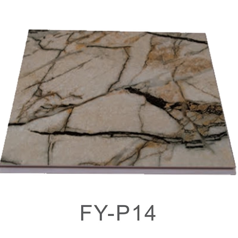 FY-P14