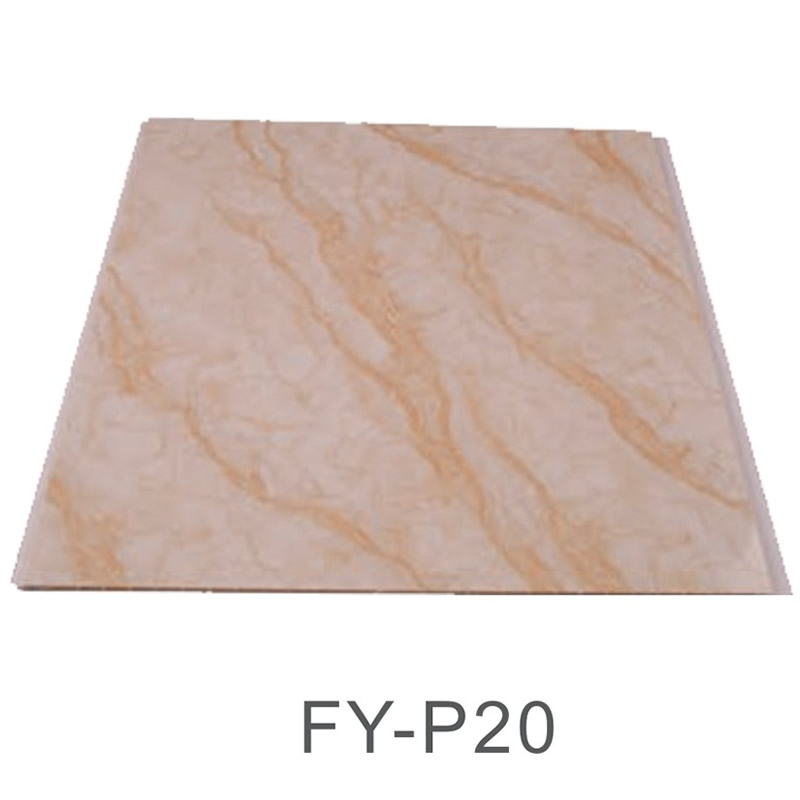 FY-P20